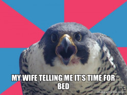 Millennial Falcon