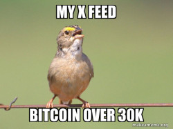 Common Opinion Sparrow