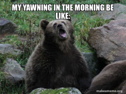 Sarcastic Bear
