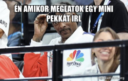 Snoop Dogg Sunglasses at Olympics