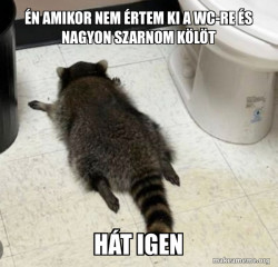 csak a szarÃ¡s