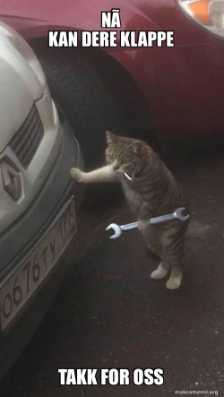 Mechanic Cat