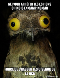 Weird Stuff I do Potoo