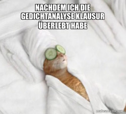 Pampered Cat Meme