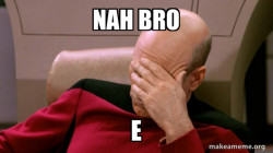 Picard Facepalm
