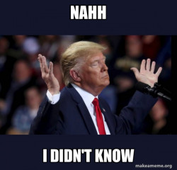 Trump Impeached