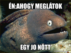 Bad Joke Eel