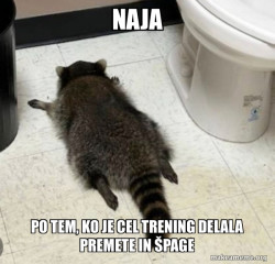 Drunk Raccoon