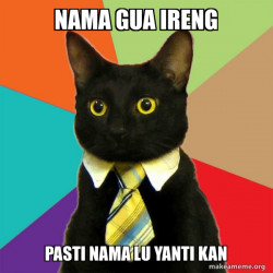 Business Cat