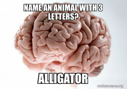 Scumbag Brain