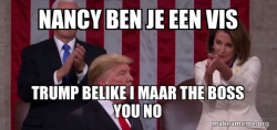 No trump no no Nancy no 