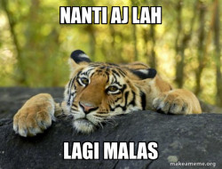 Confession Tiger