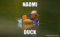 Fashionable Advice Mallard
