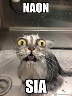 Cat bath