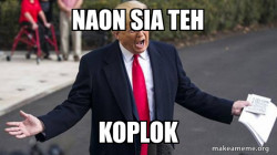 Haloo
