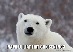 Popular Opinion Polar Bear