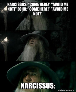 Confused Narcissus 