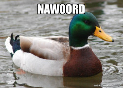 Actual Advice Mallard