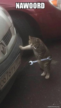 Mechanic Cat