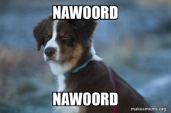 Unsure Dog