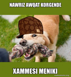 Scumbag dog