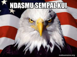 American Pride Eagle