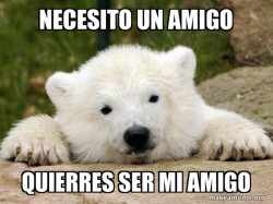 Popular Opinion Bear