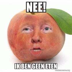 Impeached Donald Trump