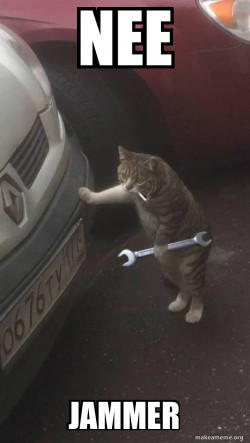 Mechanic Cat