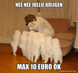 Scumbag Storytelling Dog
