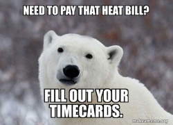 Popular Opinion Polar Bear