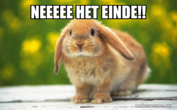 Regretful Rabbit