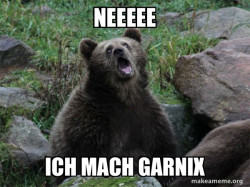 Sarcastic Bear