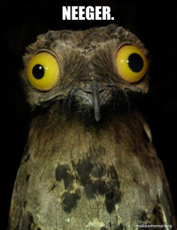Weird Stuff I do Potoo