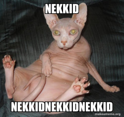 Hairless Cat