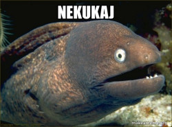 Bad Joke Eel