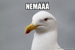 Stuff That Didn't Happen Seagull