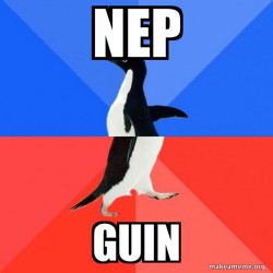 Socially Awkward Awesome Penguin