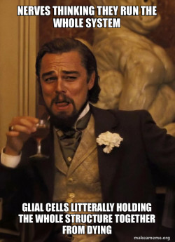 Leonardo DiCaprio Laughing Django