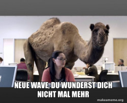 Hump Day Camel