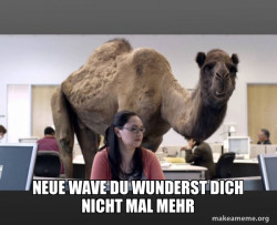 Hump Day Camel