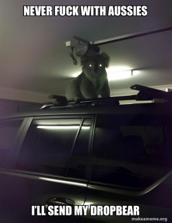 Drop Bear
