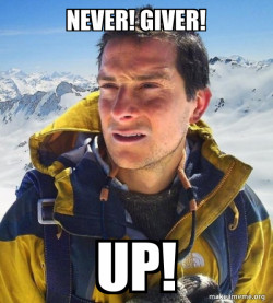 Bear Grylls