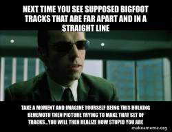 Agent Smith from the Matrix