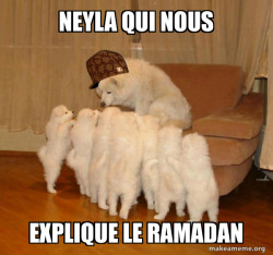 Scumbag Storytelling Dog