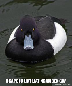 Revenge Duck ( Angry Advice Duck )