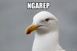 Stuff That Didn't Happen Seagull