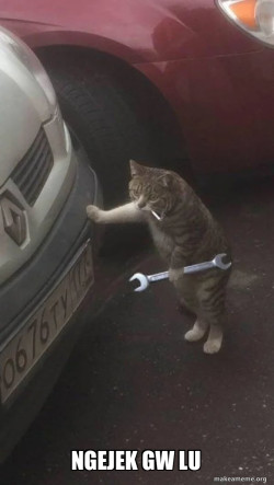 Mechanic Cat