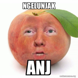 Impeached Donald Trump