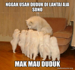 Storytelling Dog